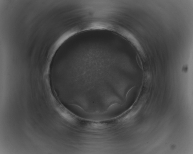 X0000101451427200807071355