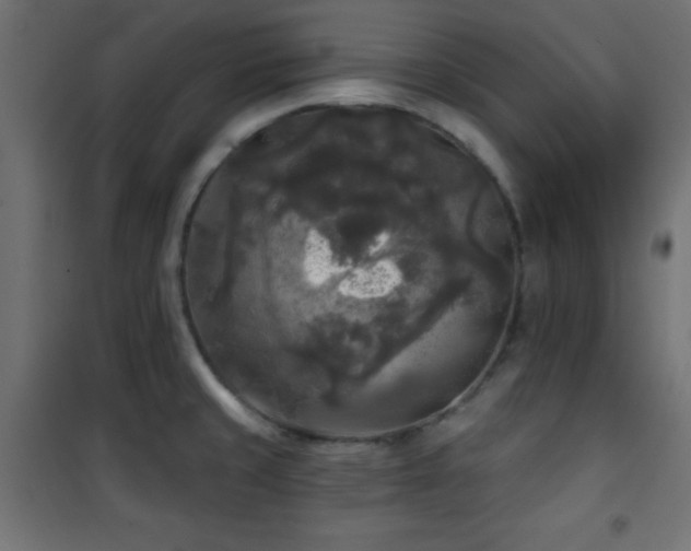 X0000101451429200807071355