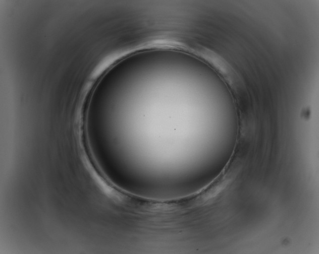 X0000101451430200807071355