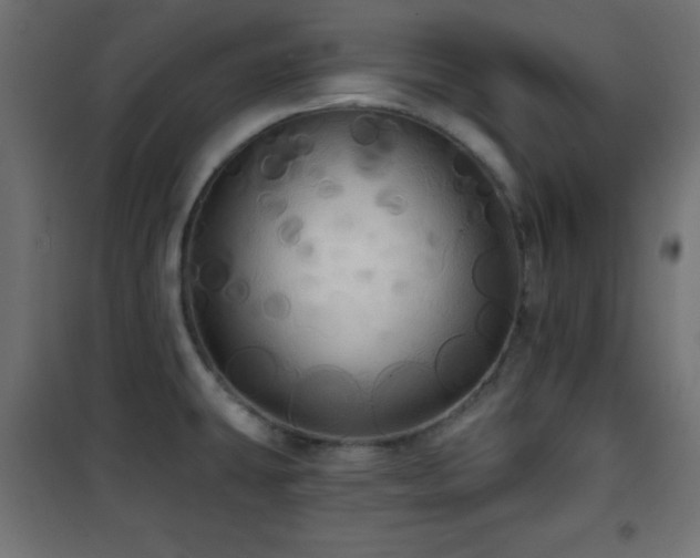 X0000101451431200807071355
