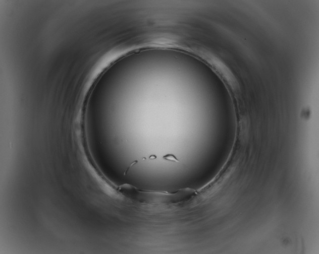 X0000101451432200807071355
