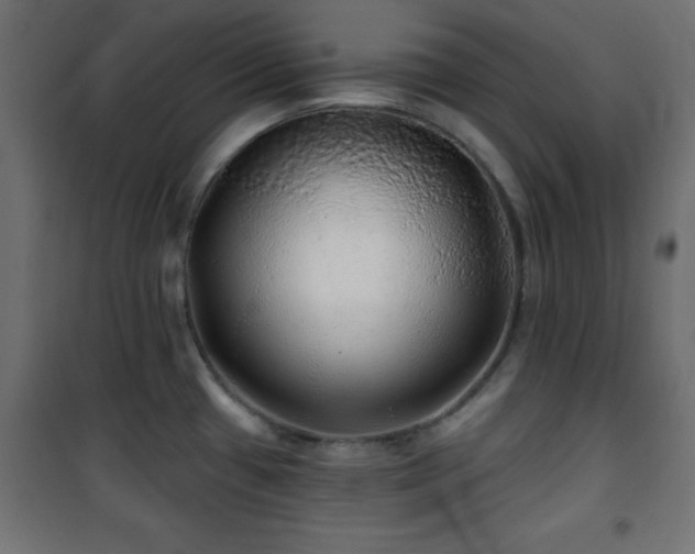 X0000101451433200807071355