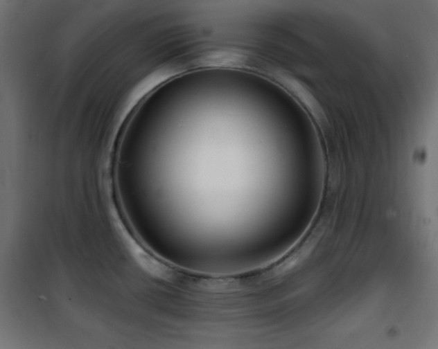 X0000101451434200807071355