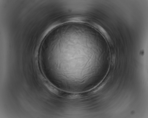 X0000101451435200807071355