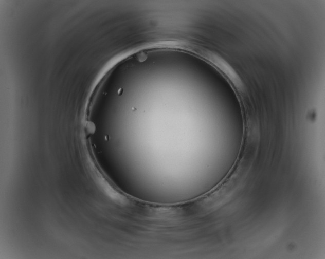 X0000101451436200807071355