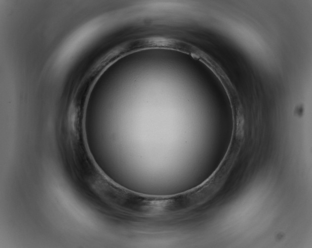 X0000101451438200807071355