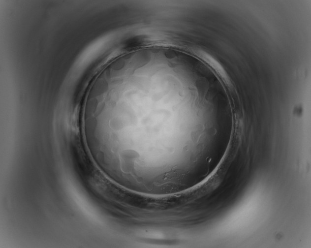 X0000101451439200807071355