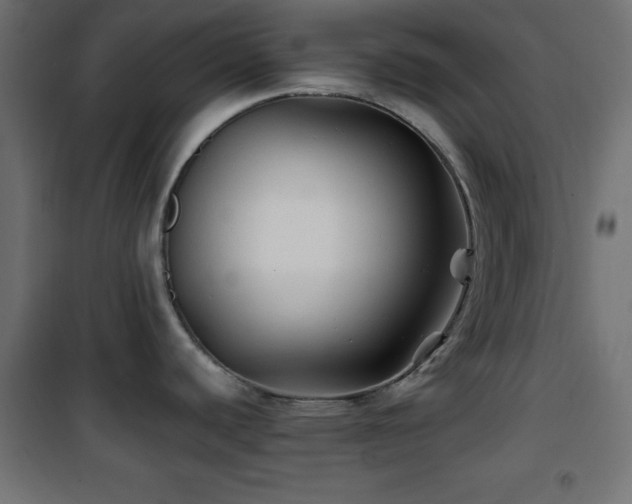 X0000101451440200807071355