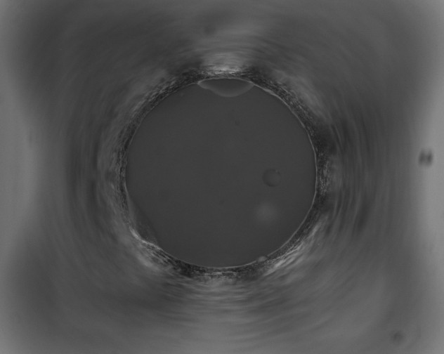 X0000101451441200807071354