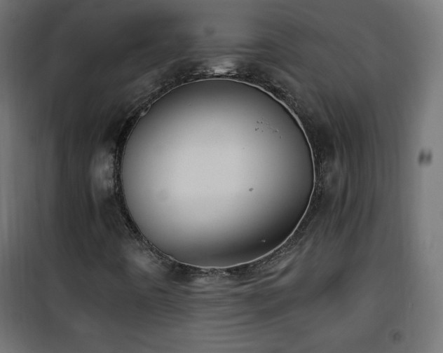 X0000101451442200807071354