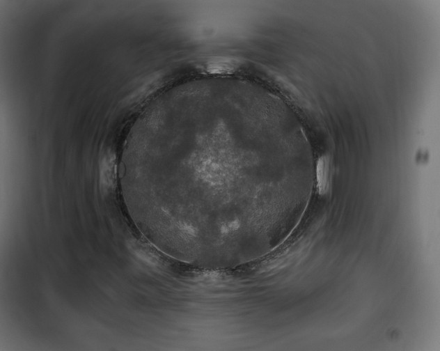 X0000101451443200807071354