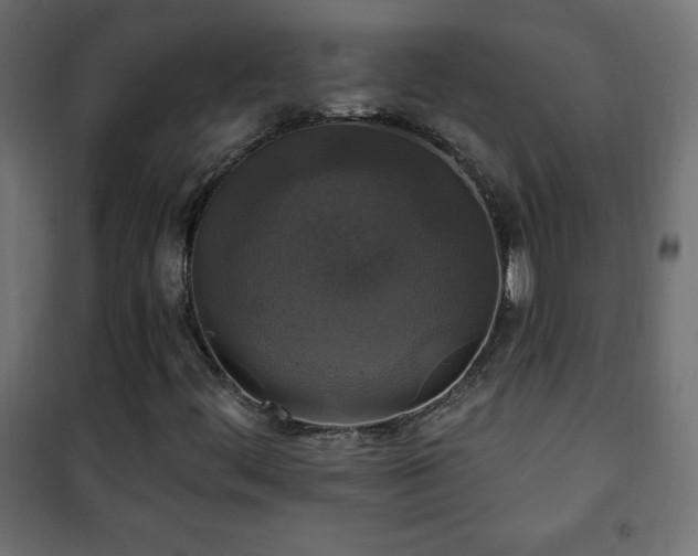 X0000101451444200807071354