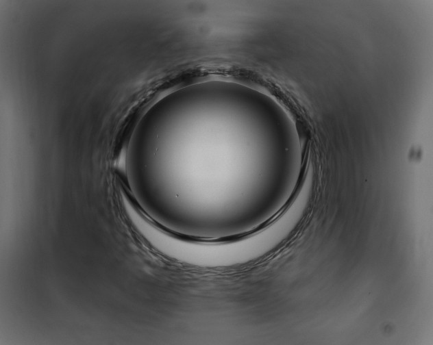 X0000101451445200807071354
