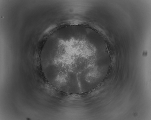 X0000101451446200807071354