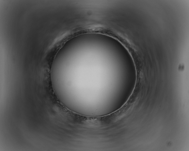 X0000101451447200807071354