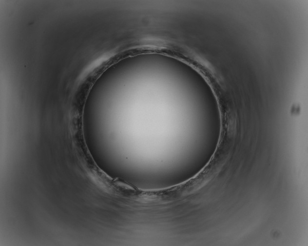 X0000101451448200807071354