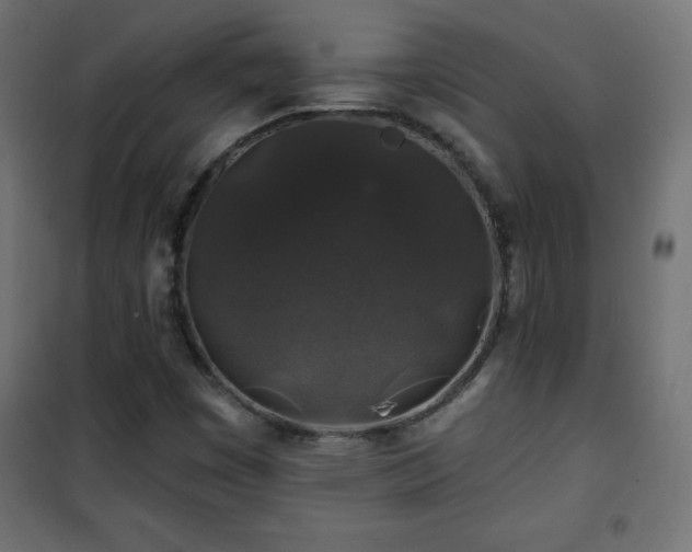 X0000101451449200807071354