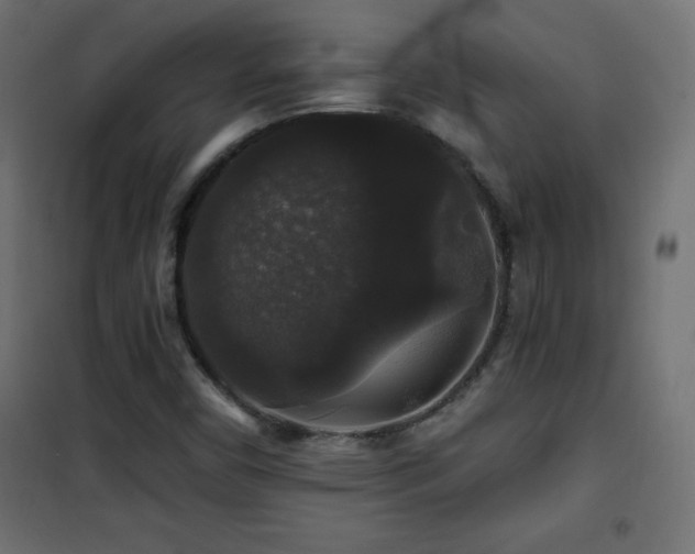 X0000101451450200807071354