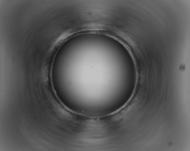 X0000101451451200807071354