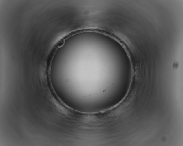 X0000101451452200807071354