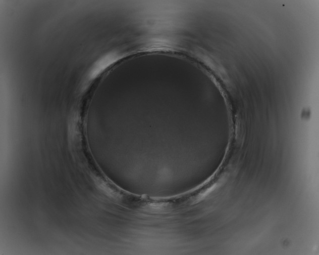 X0000101451453200807071354