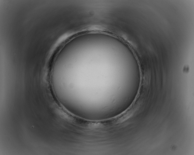 X0000101451454200807071354
