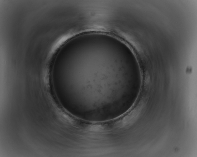 X0000101451455200807071354