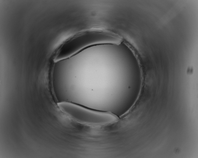 X0000101451456200807071354
