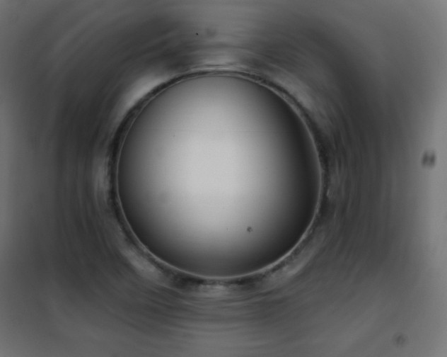 X0000101451458200807071354