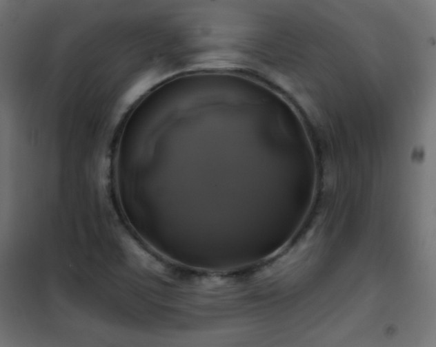 X0000101451459200807071354