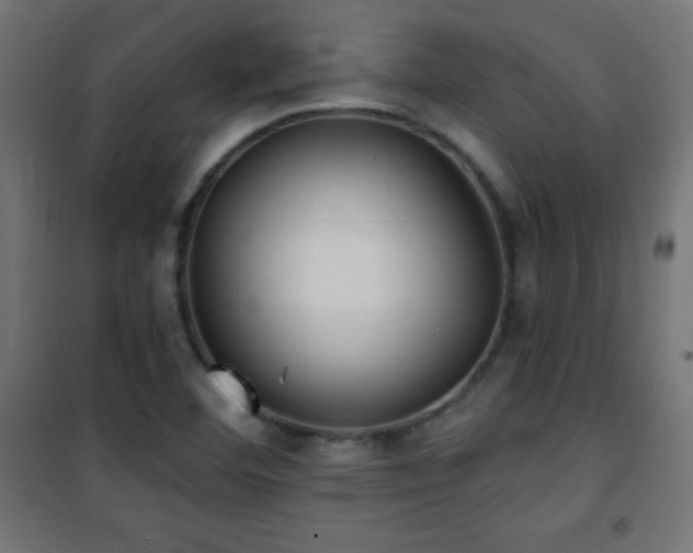 X0000101451460200807071353