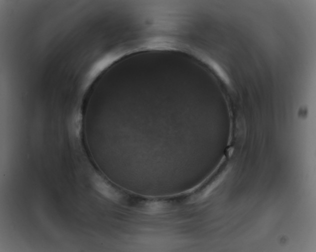 X0000101451461200807071353