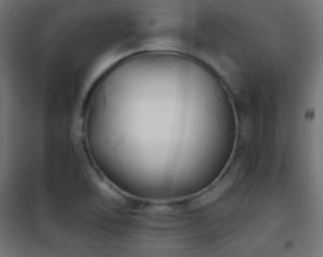X0000101451462200807071353