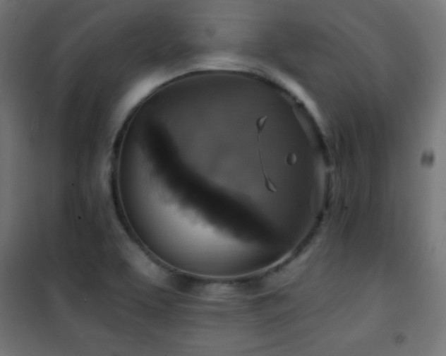X0000101451463200807071353