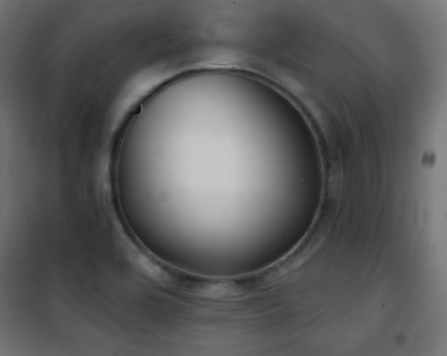 X0000101451464200807071353