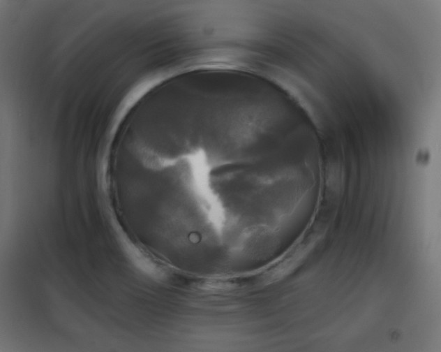 X0000101451466200807071353
