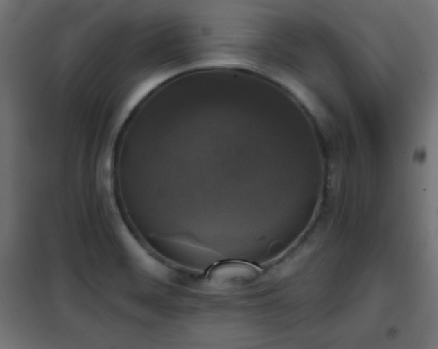 X0000101451468200807071353