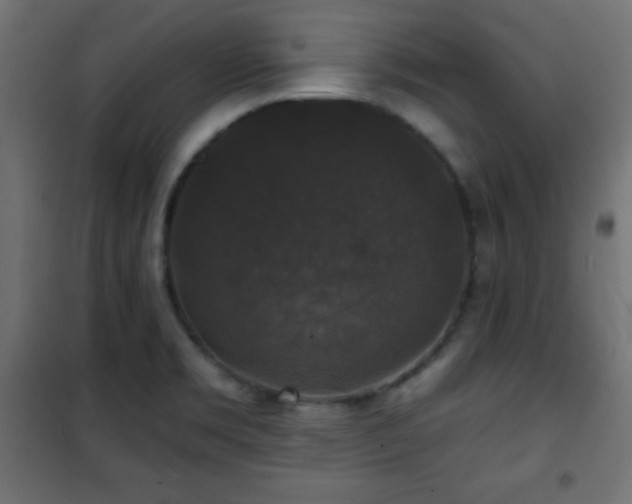 X0000101451469200807071353