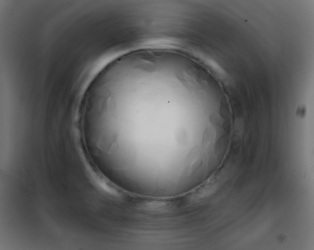 X0000101451470200807071353