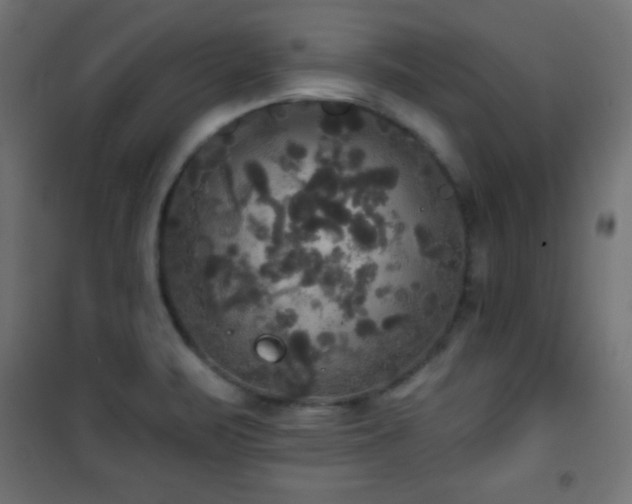 X0000101451471200807071353