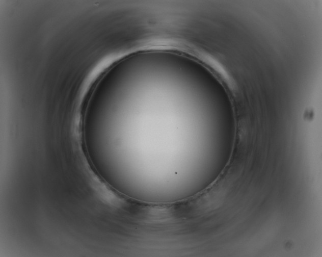 X0000101451472200807071353