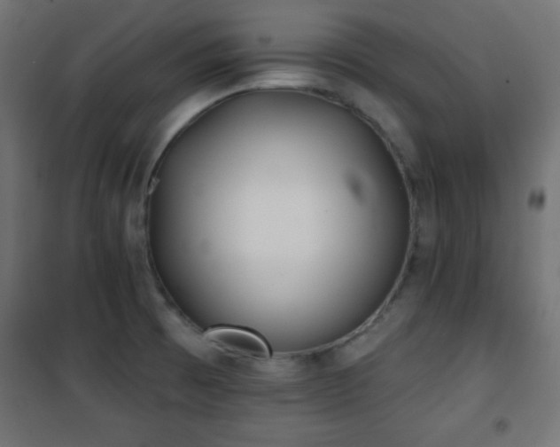 X0000101451473200807071353