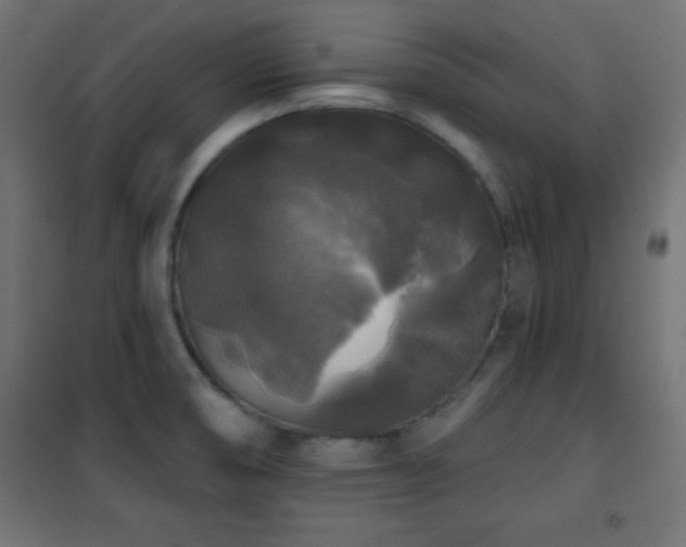 X0000101451474200807071353