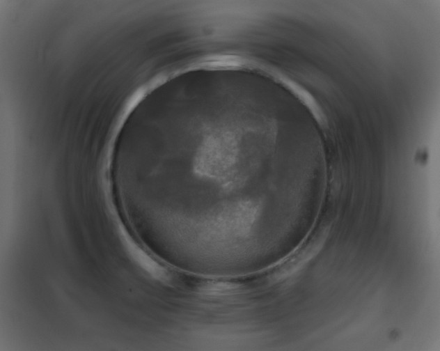 X0000101451475200807071353