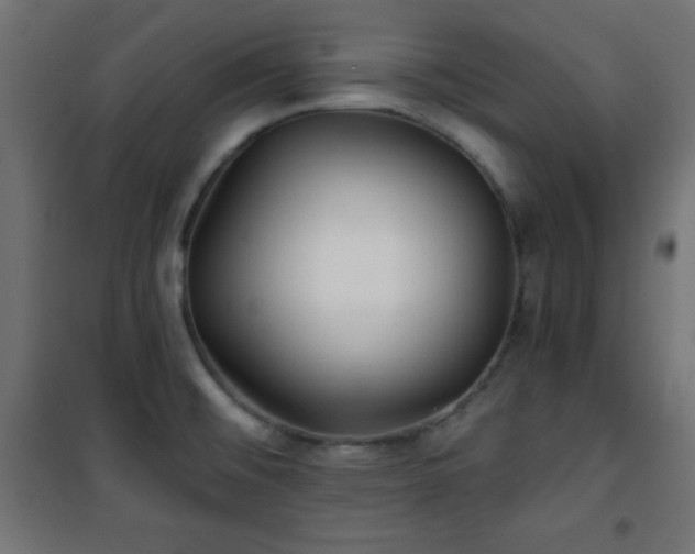X0000101451476200807071353