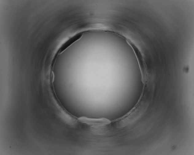 X0000101451477200807071353