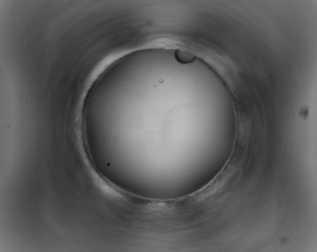 X0000101451478200807071353