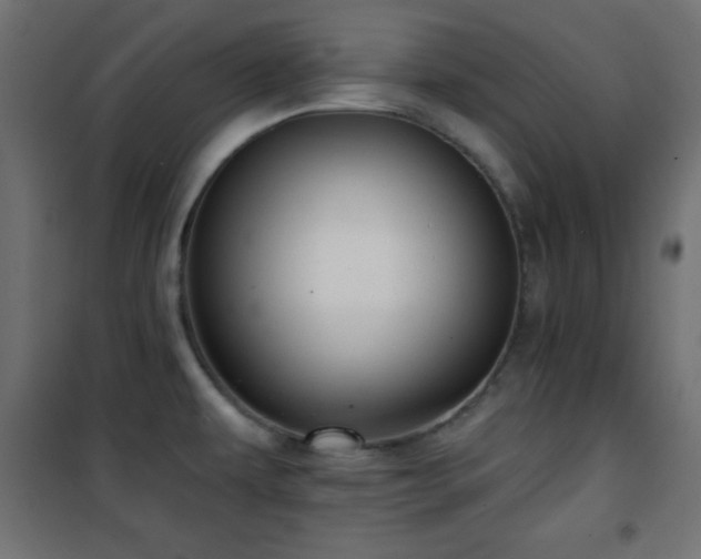 X0000101451479200807071353