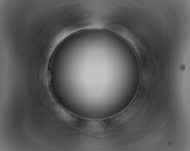 X0000101451480200807071353