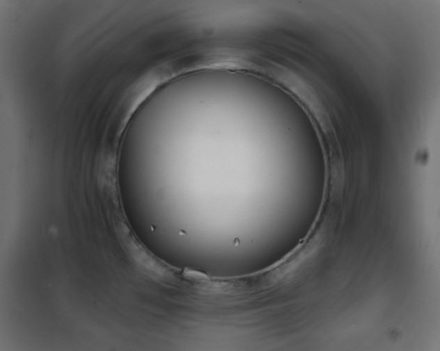 X0000101451481200807071353